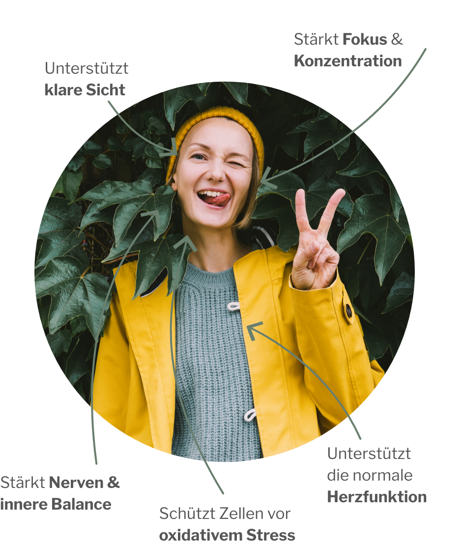 Wirkung vom Fokus- und Resilienzpaket mit Omega 3 und Antioxidantien