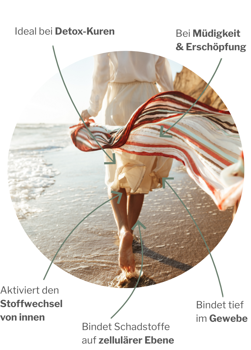 Upgrade des Stoffwechsels und Zellreinigung mit veganem Vitalpaket mit MSM und Mikropektin