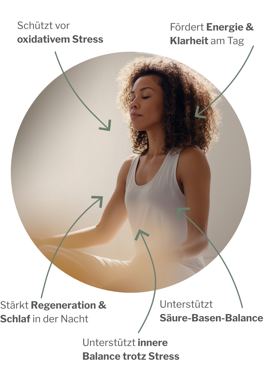Basische Mineralien mit dem stärksten Antioxidans zur Stressbewältigung körperlich, mental, und emotional als Vitalpaket