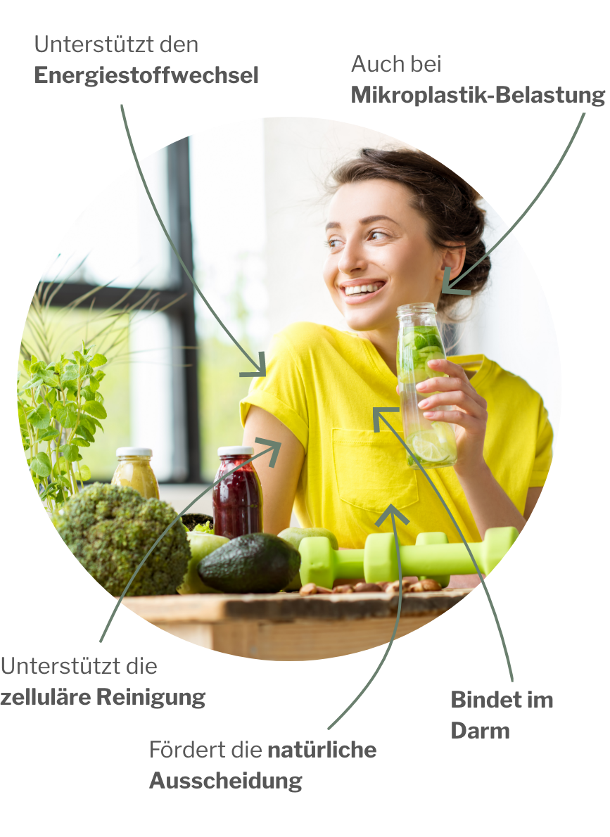 Veganes Detox mit pflanzlichem Chitosan und Mikropektin zur Reinigung von Zellen und Darm sowie Mikrobiom