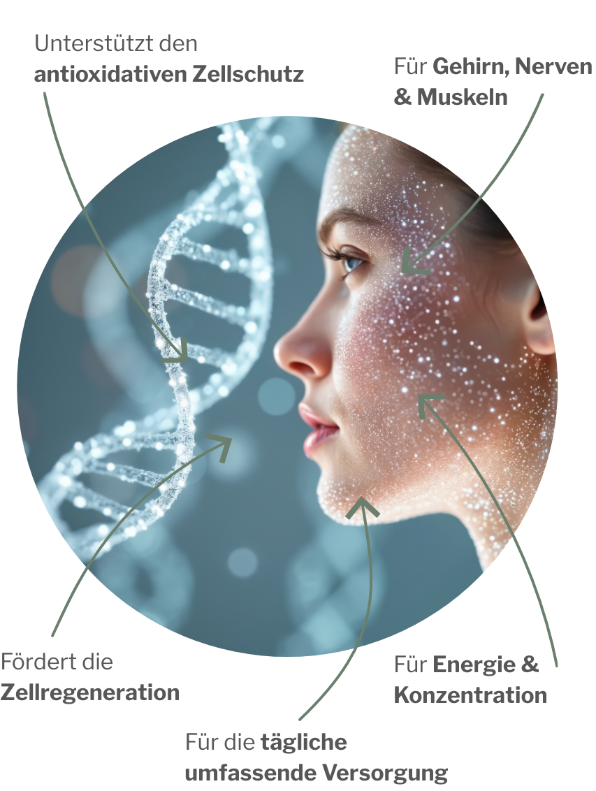 Veganer Zellschutzkomplex mit Aminosäuren und Vitamin C hochdosiert und Antioxidantien