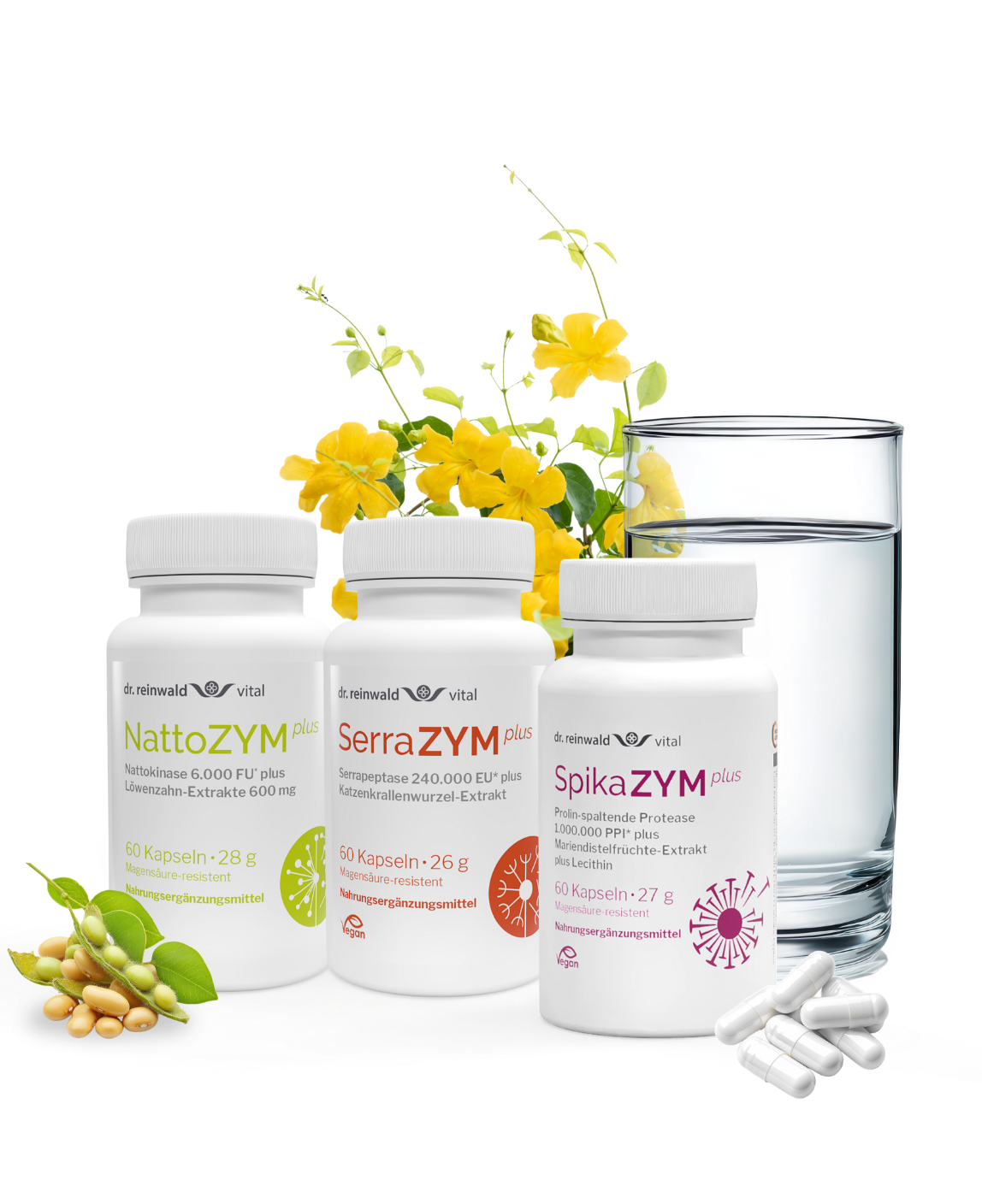 Enzym- & Stoffwechsel-Paket