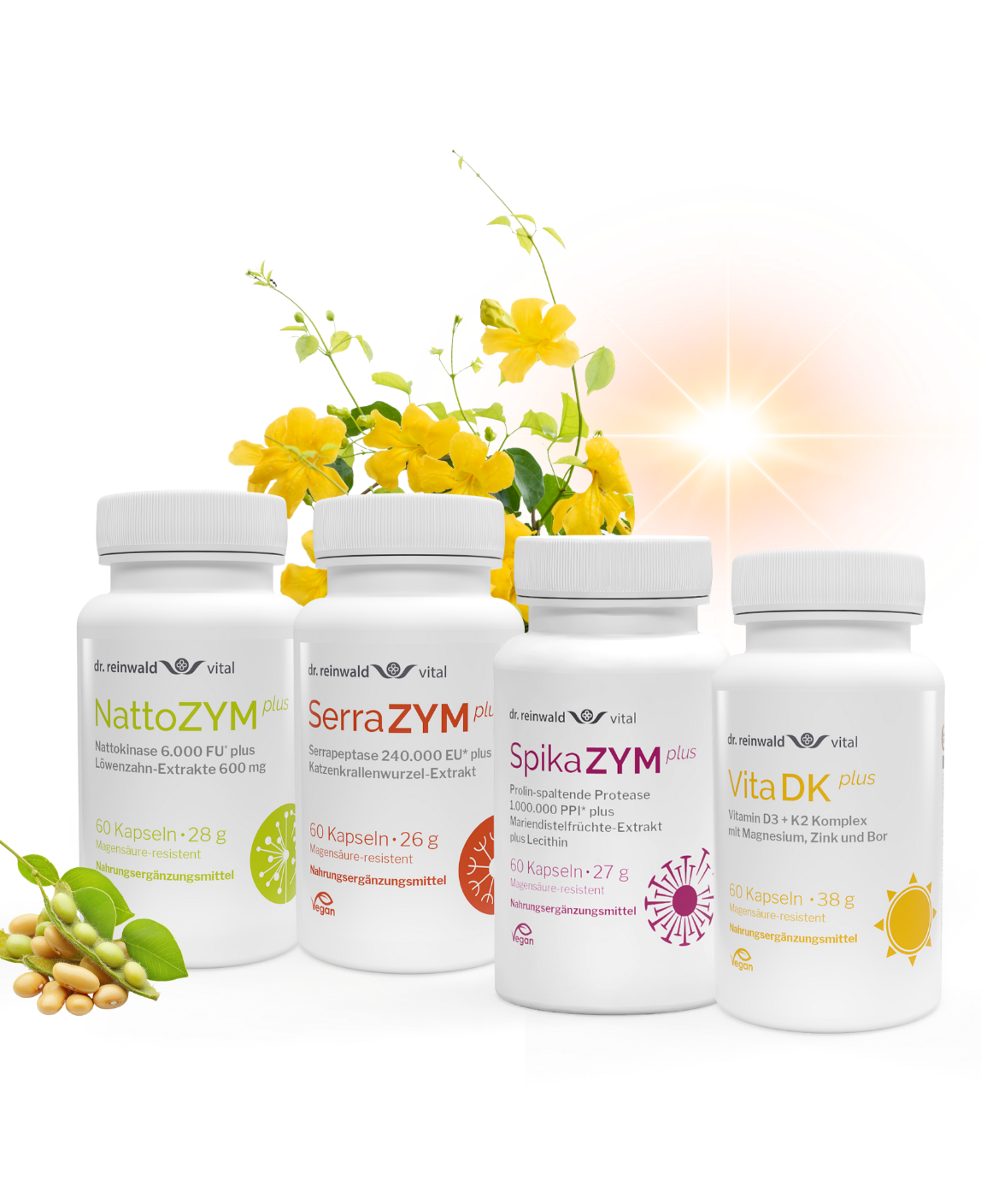 Enzym- & Vitalstoff-Paket