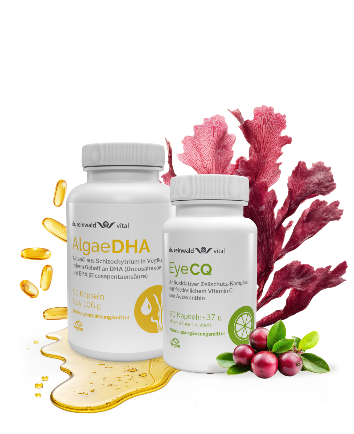 Focus- & Resilienz-Paket