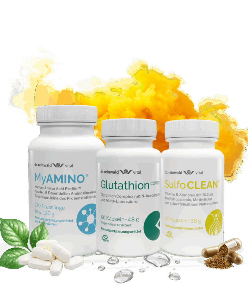 glutathion und alpha-liponsäure zusammen einnehmen Regenerations-Detox: Aufbau für Deine Zellen anti darkening base