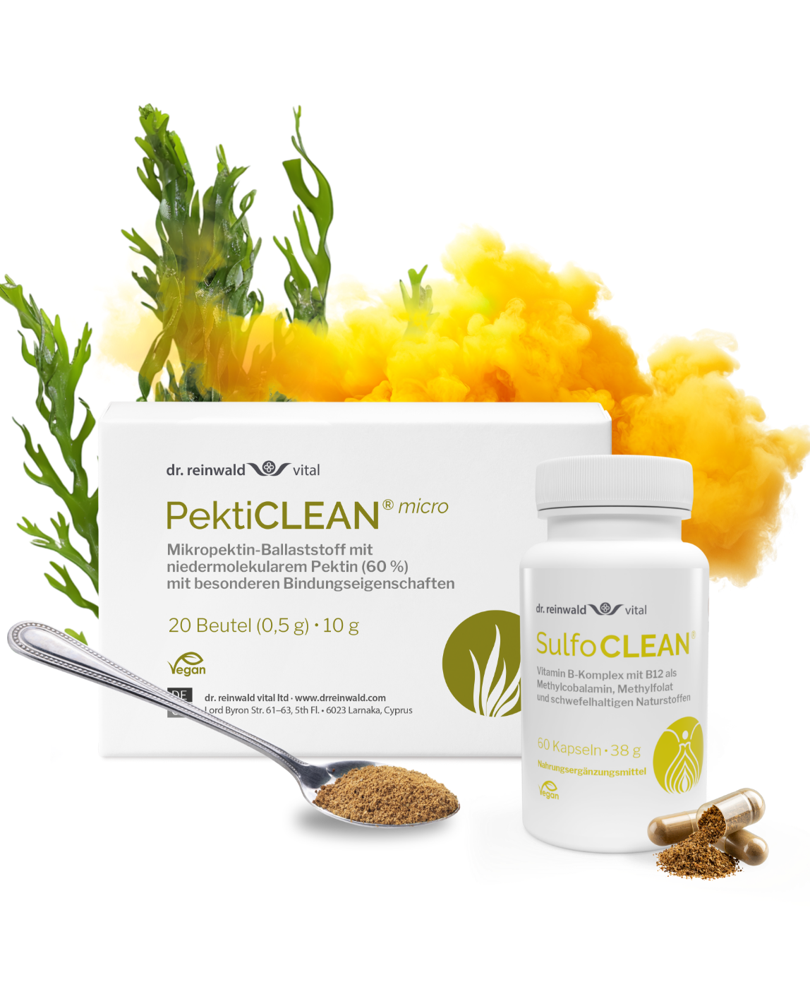 Stoffwechsel & Zell-Detox