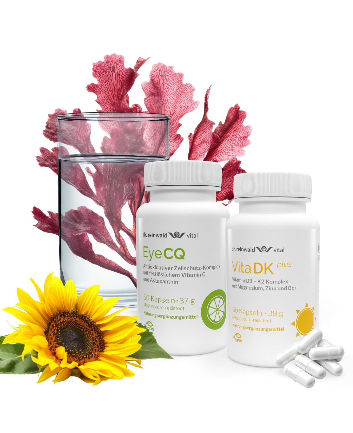 Vitalbooster-Paket