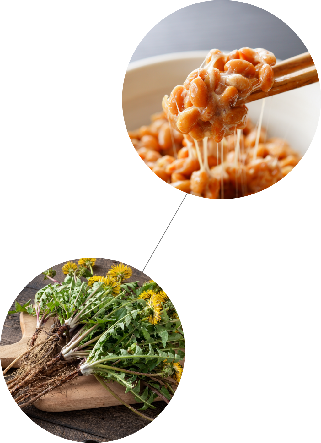 Co-Faktoren NattoZYM plus