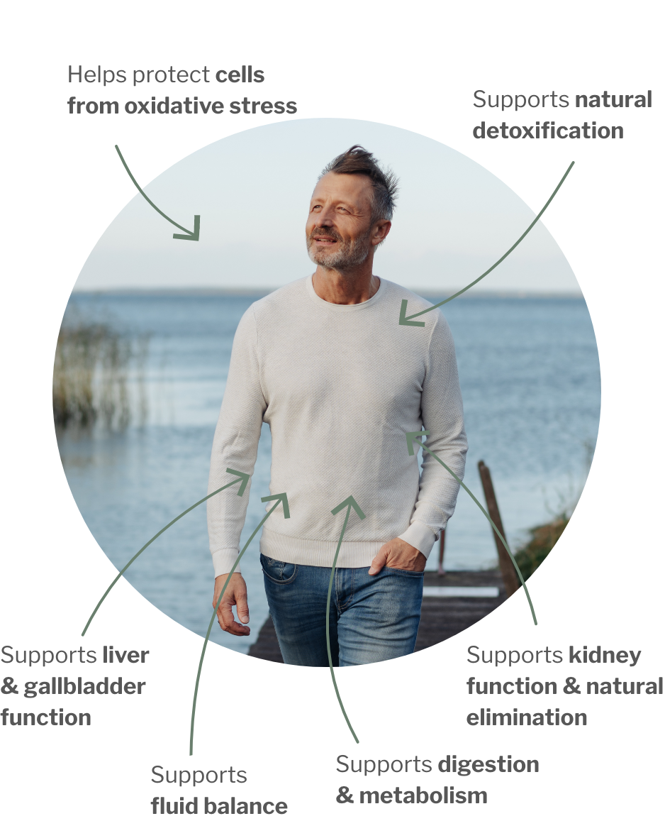 Usage of CHi Detox –Herbal Bitter Duo for Liver, Kidney & Detox