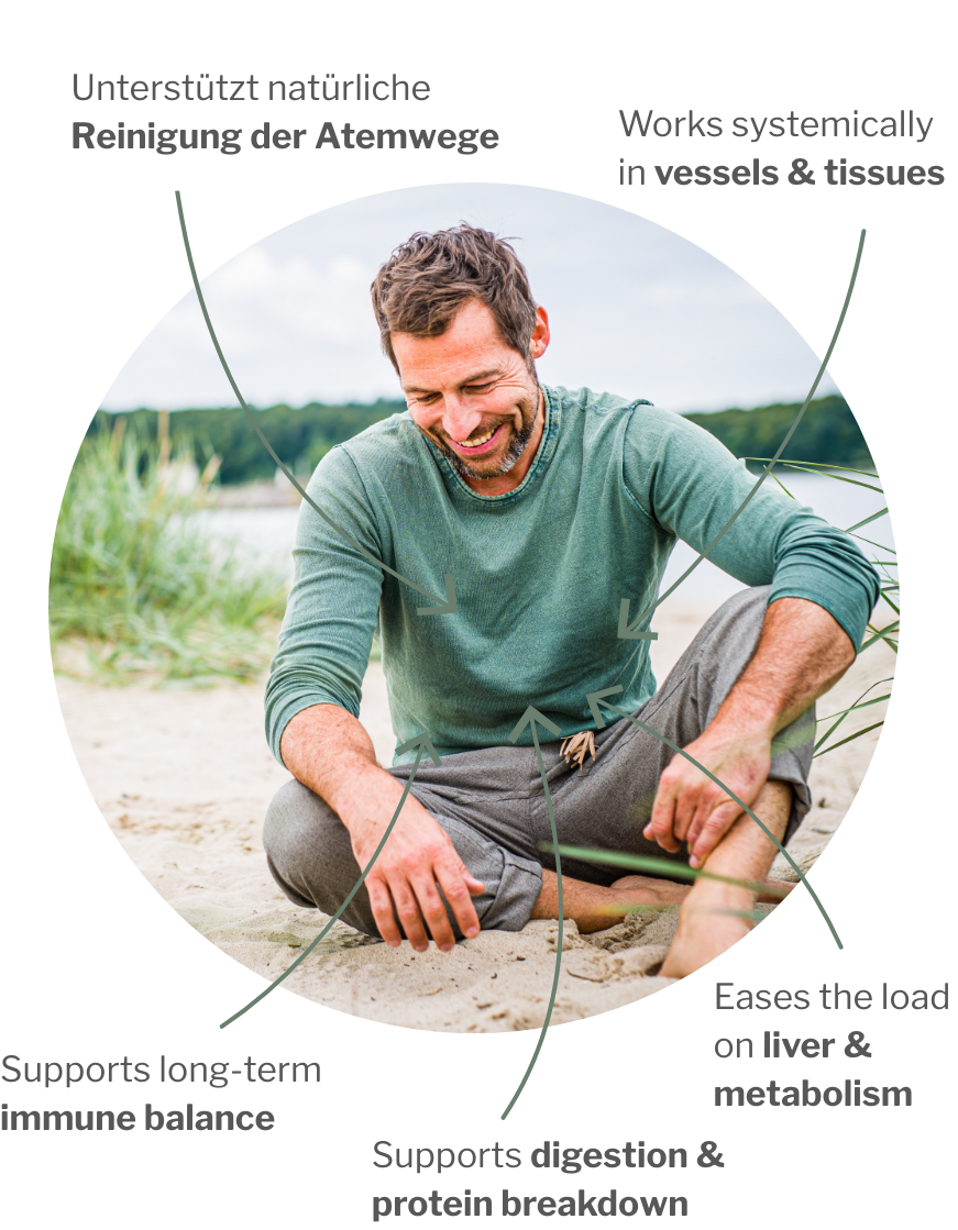 Usage of Enzyme & Metabolism Bundle – Triple enzyme and plant power for maximum relief