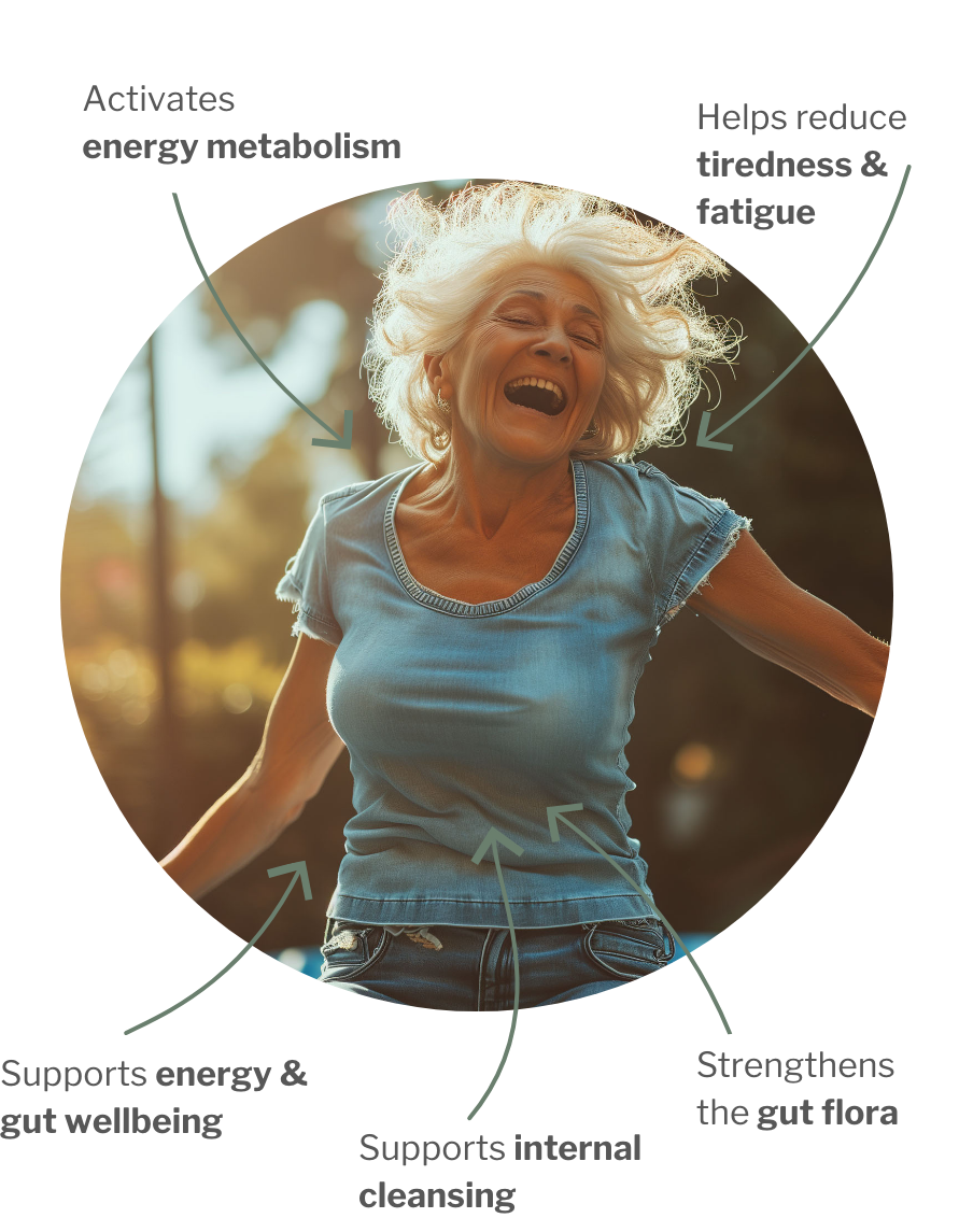 Usage of Gut Energy Bundle – For gut flora, energy & inner cleansing