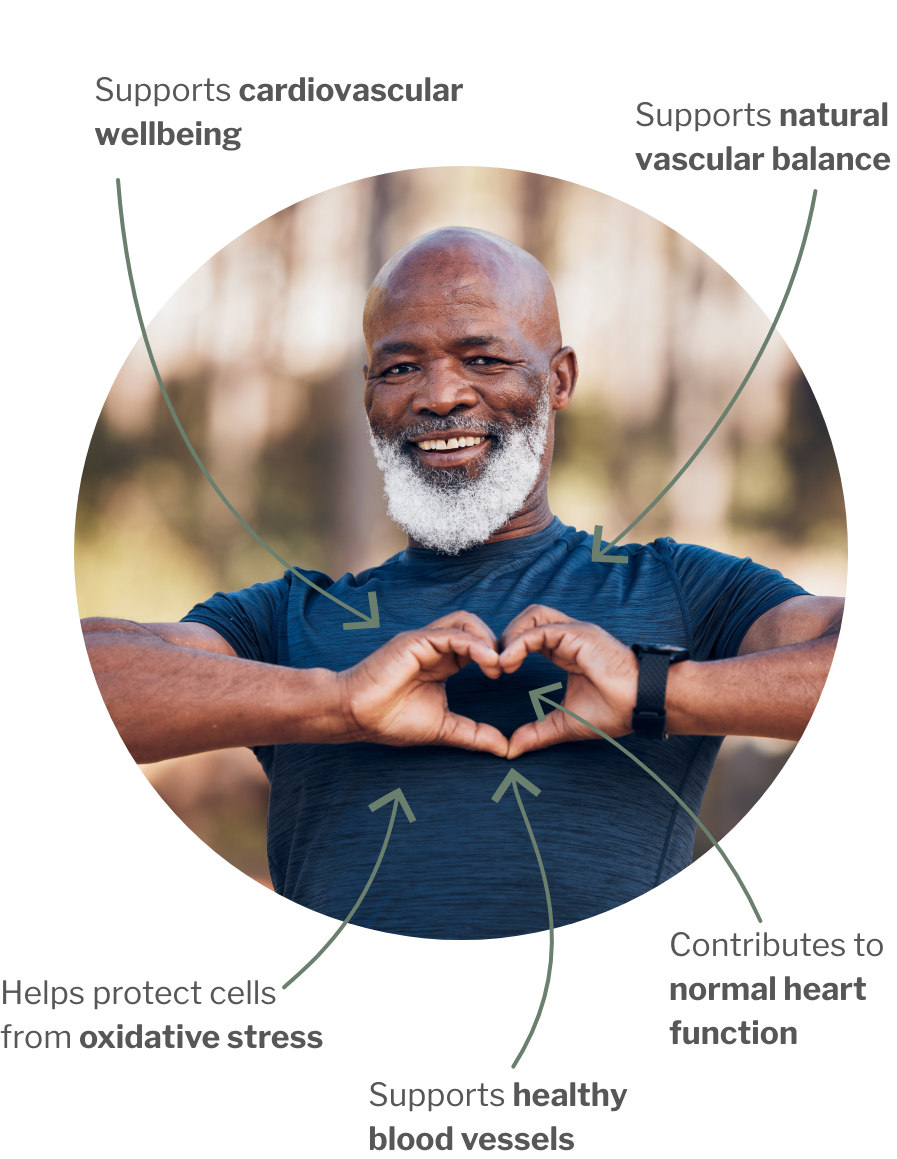 Usage of Heart & Cardio Bundle – For heart, vessels, and cell protection: Vegan Omega-3 & Nattokinase