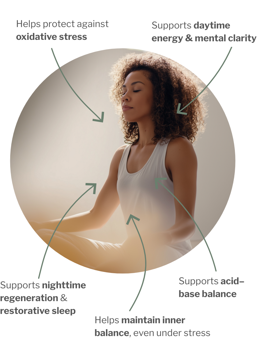 Usage of Stress Balance Bundle – Resilience trio for mental, physical & emotional stress