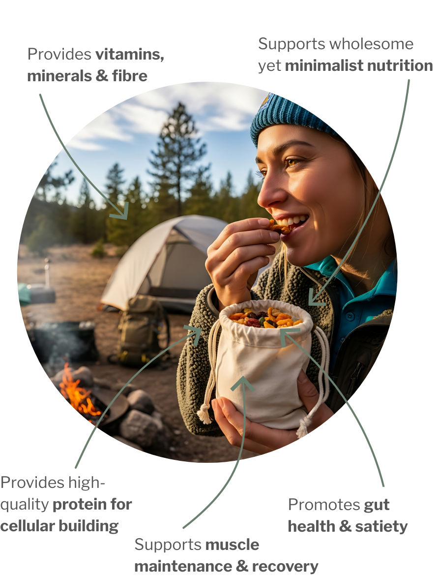 Usage of Survival Essentials Bundle – Nutrition Basics in the Smallest Space: Everything Your Body Needs