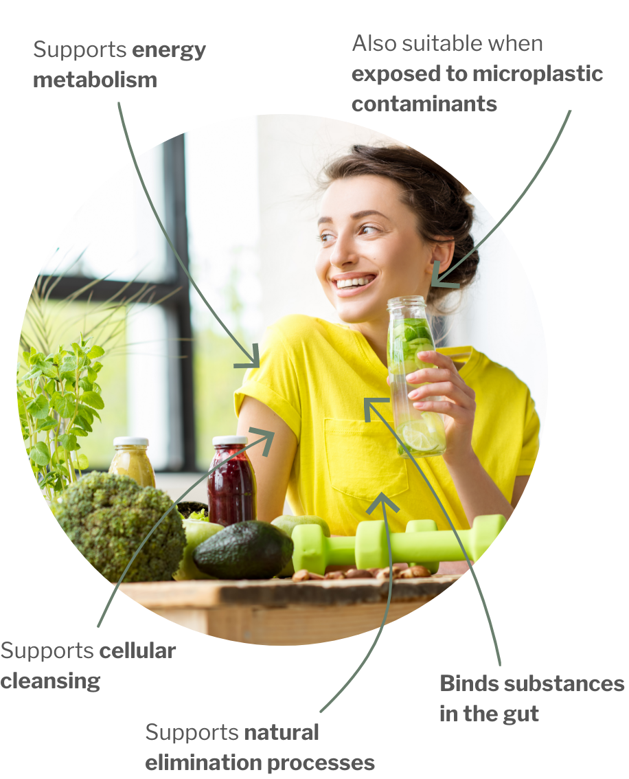 Usage of Vegan Base Detox Program – Double Vegan Binding Power for Gut and Cell Detox