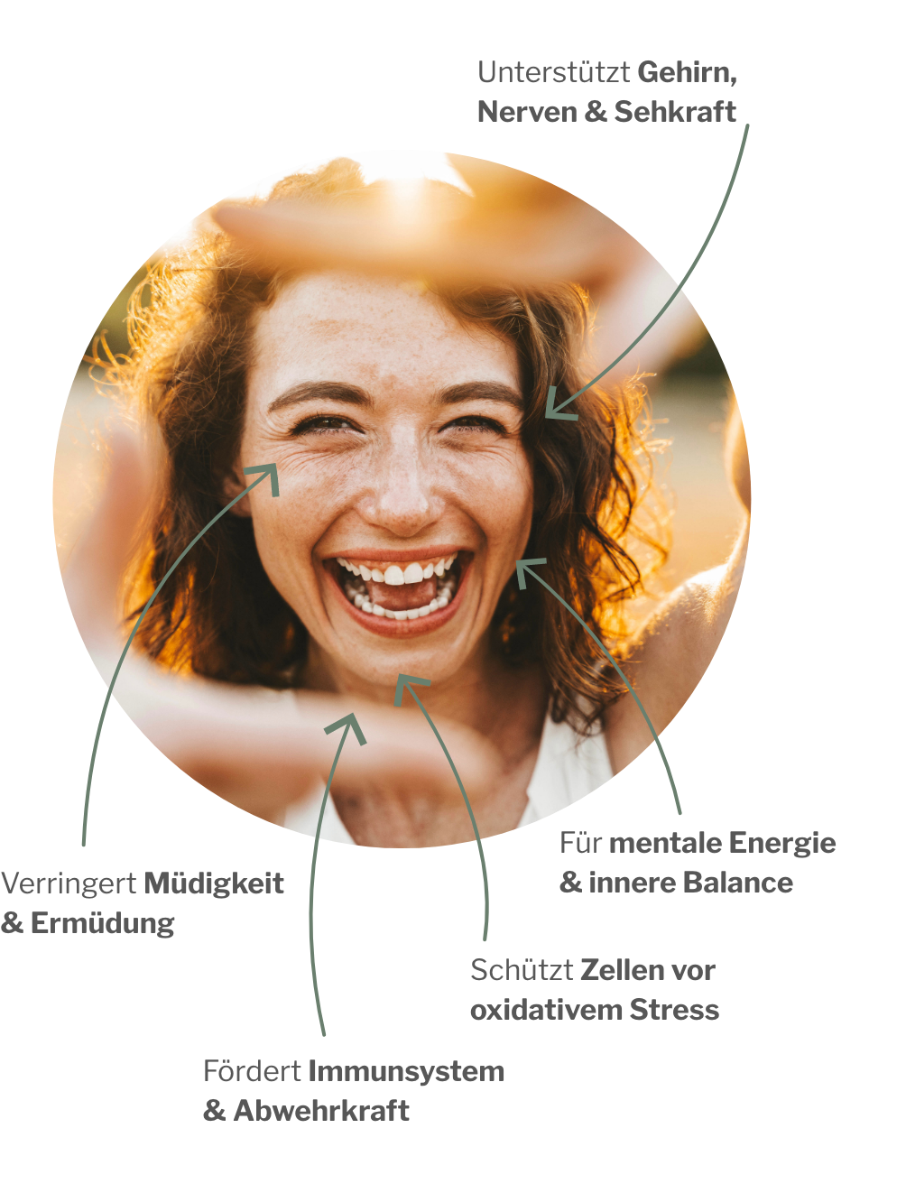 Wirkung von EyeCQ: Unterstützt Gehirn, Nerven, Sehkraft, Zellen und Immunsystem
