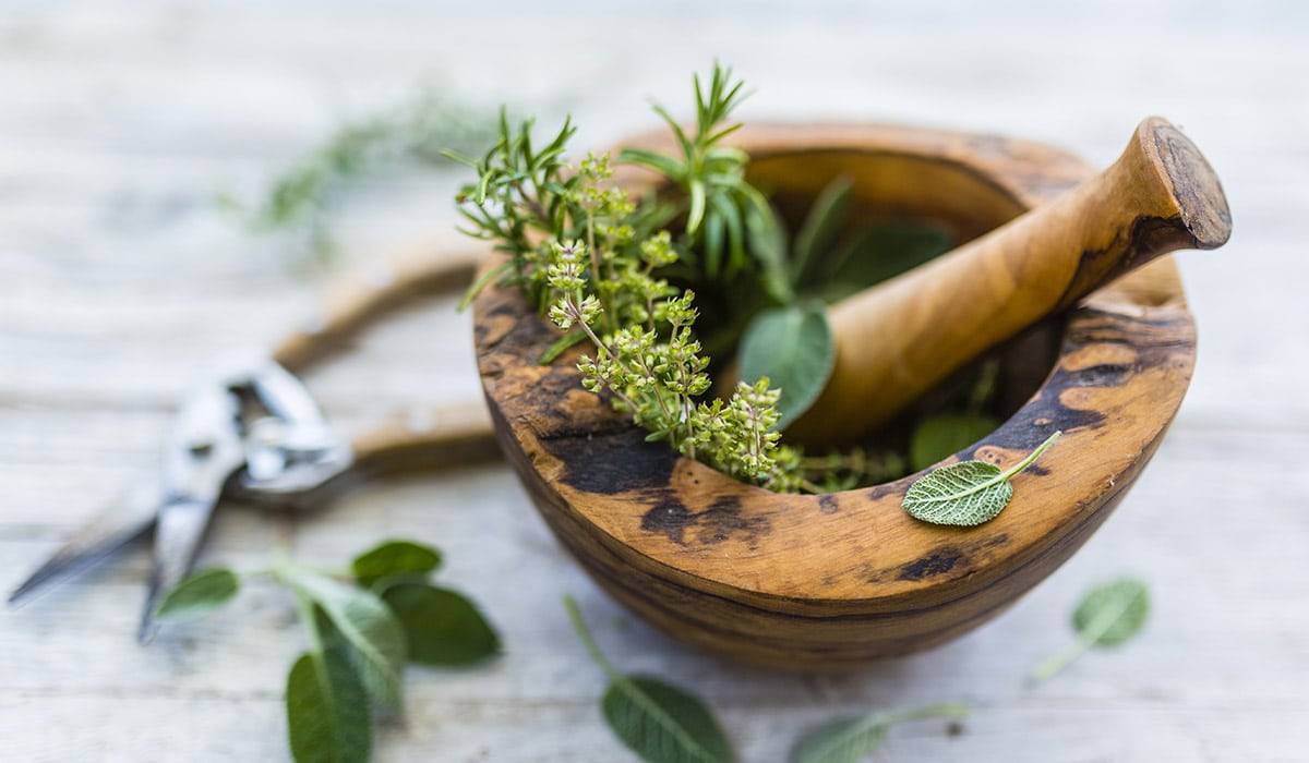 Bitter sei Dank – für ein gutes Bauchgefühl