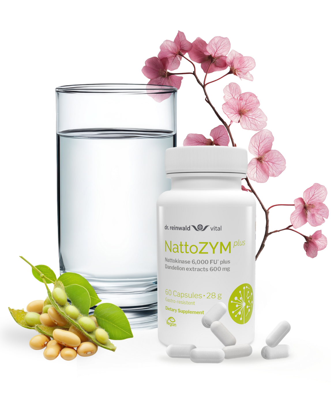 NattoZYM plus