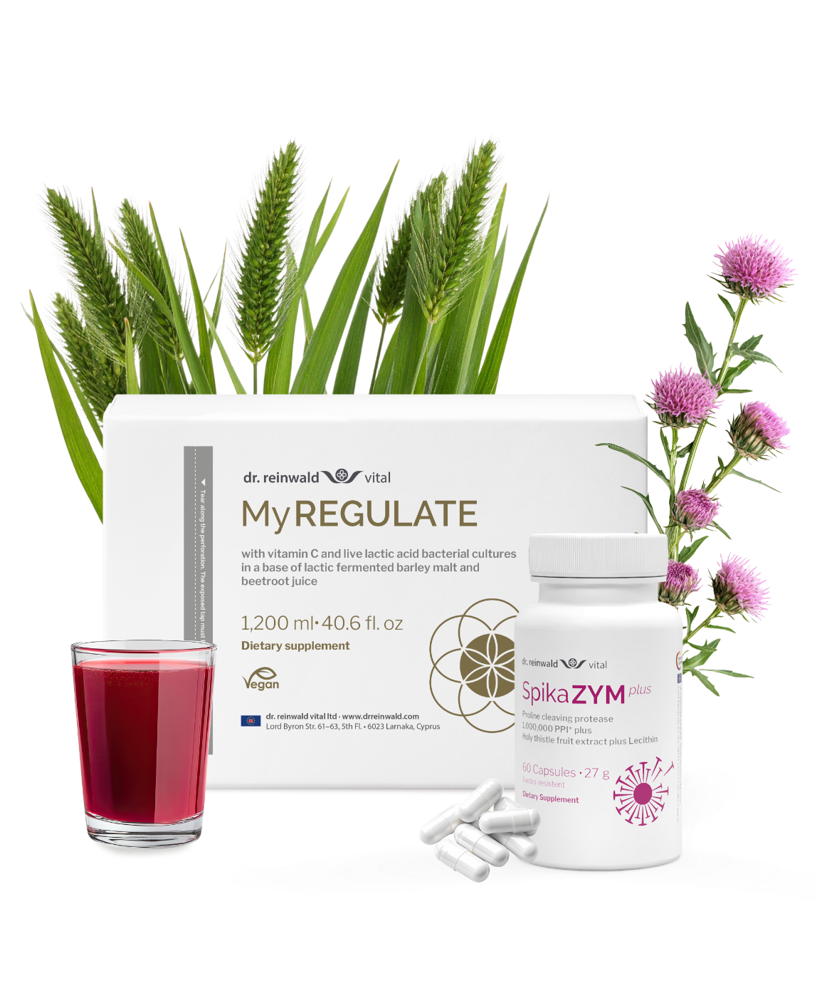 Enzyme & Gut Bundle