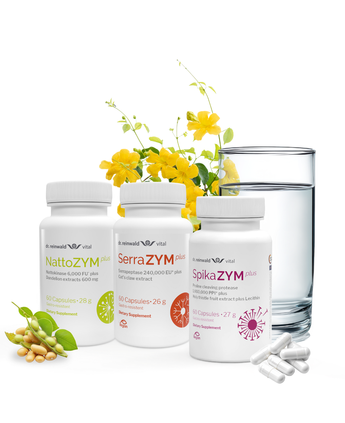 Enzyme & Metabolism Bundle