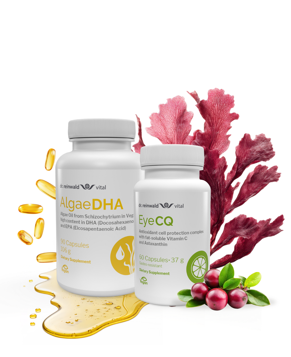 Focus & Resilience Bundle