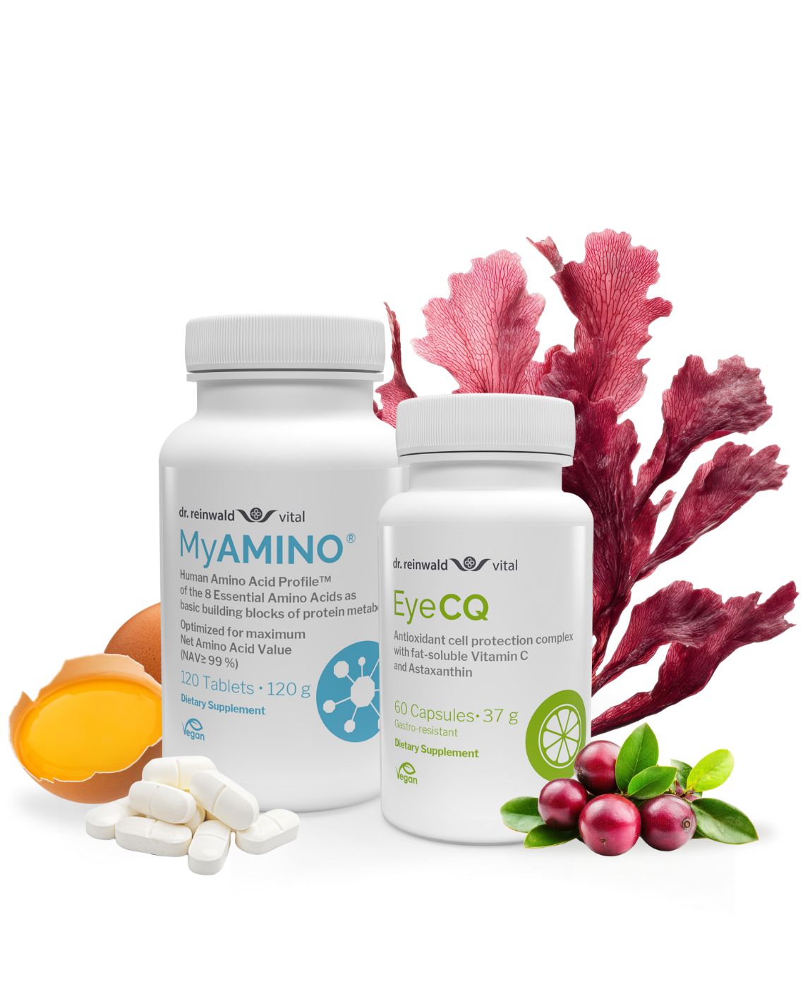 Cell Power Essentials