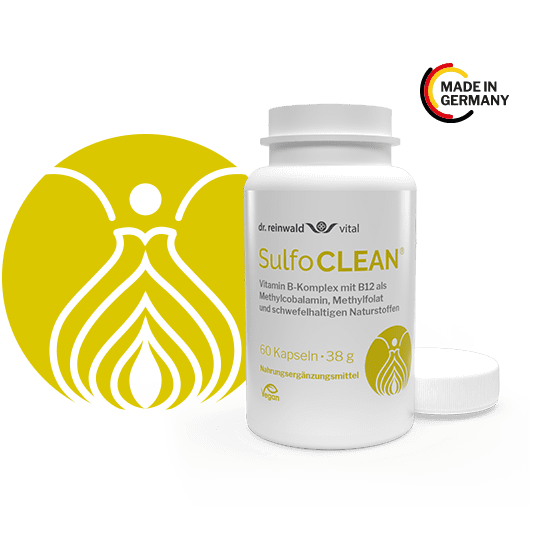 SulfoCLEAN® – Vitamin B-Komplex Kapseln von dr.reinwald vital