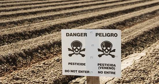 Mineralstoffarmer Boden