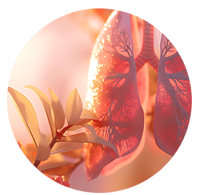 Allergischer Husten durch Hausstaub oder Pollen