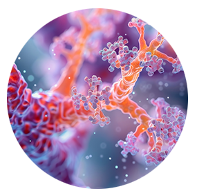 Bronchitis und Husten