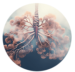 COPD – Behandlung von chronischem Husten