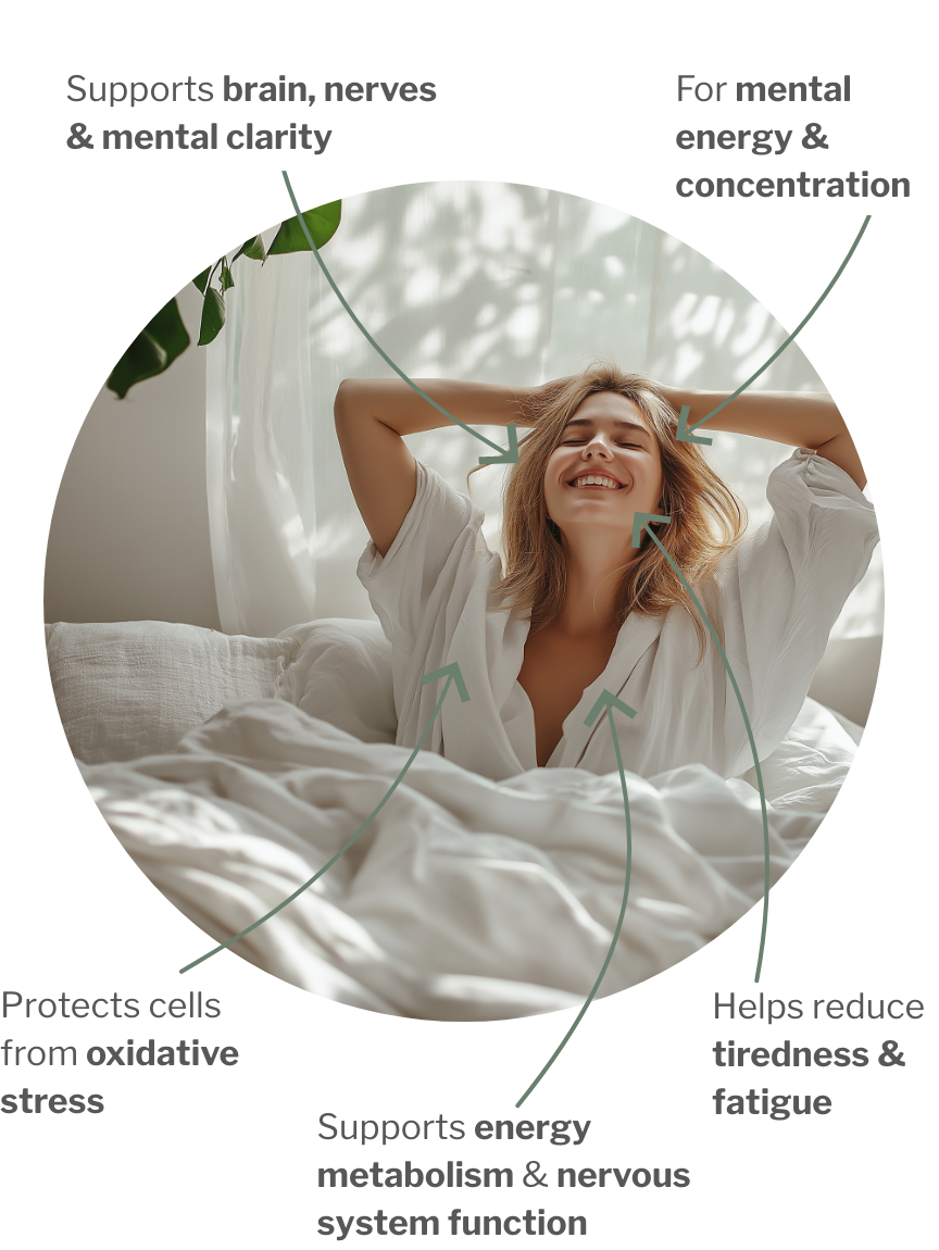 Usage of Active H day – Antioxidants