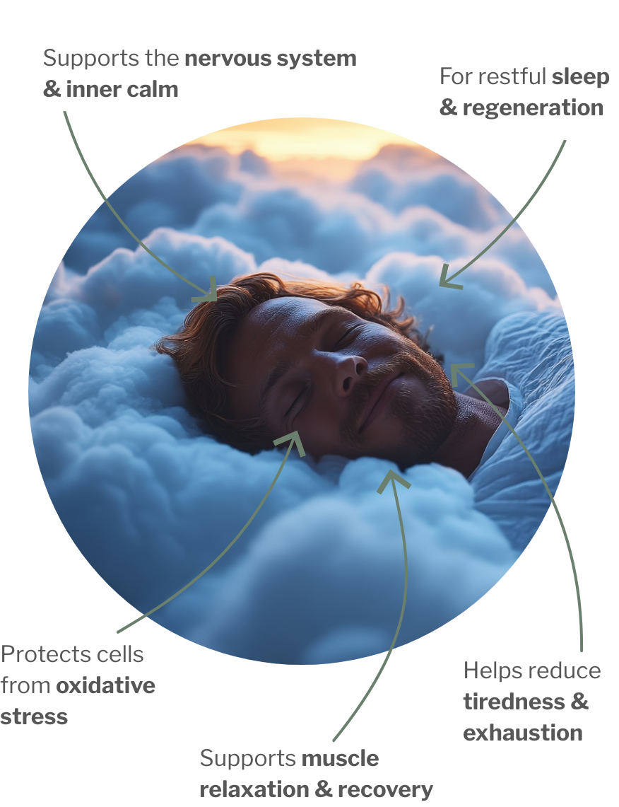 Usage of Active H night – Antioxidants