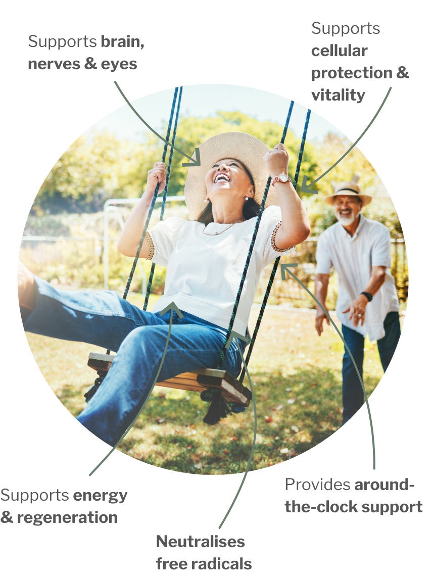 Usage of Antioxidant Premium Bundle – 3-Step Sheld for Cells, Regeneration and Engery