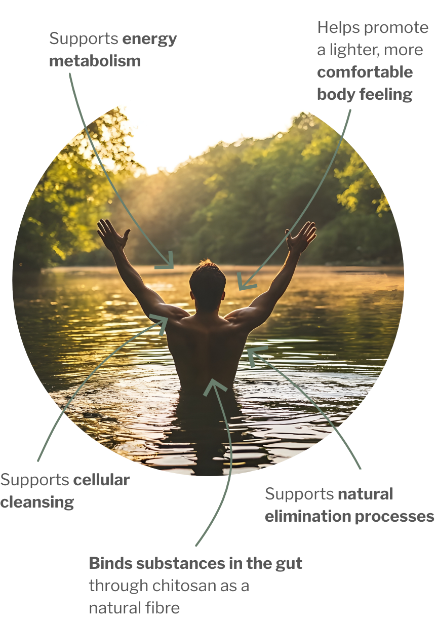 Usage of Basic Detox Program – Two Products for Binding in gut and cell