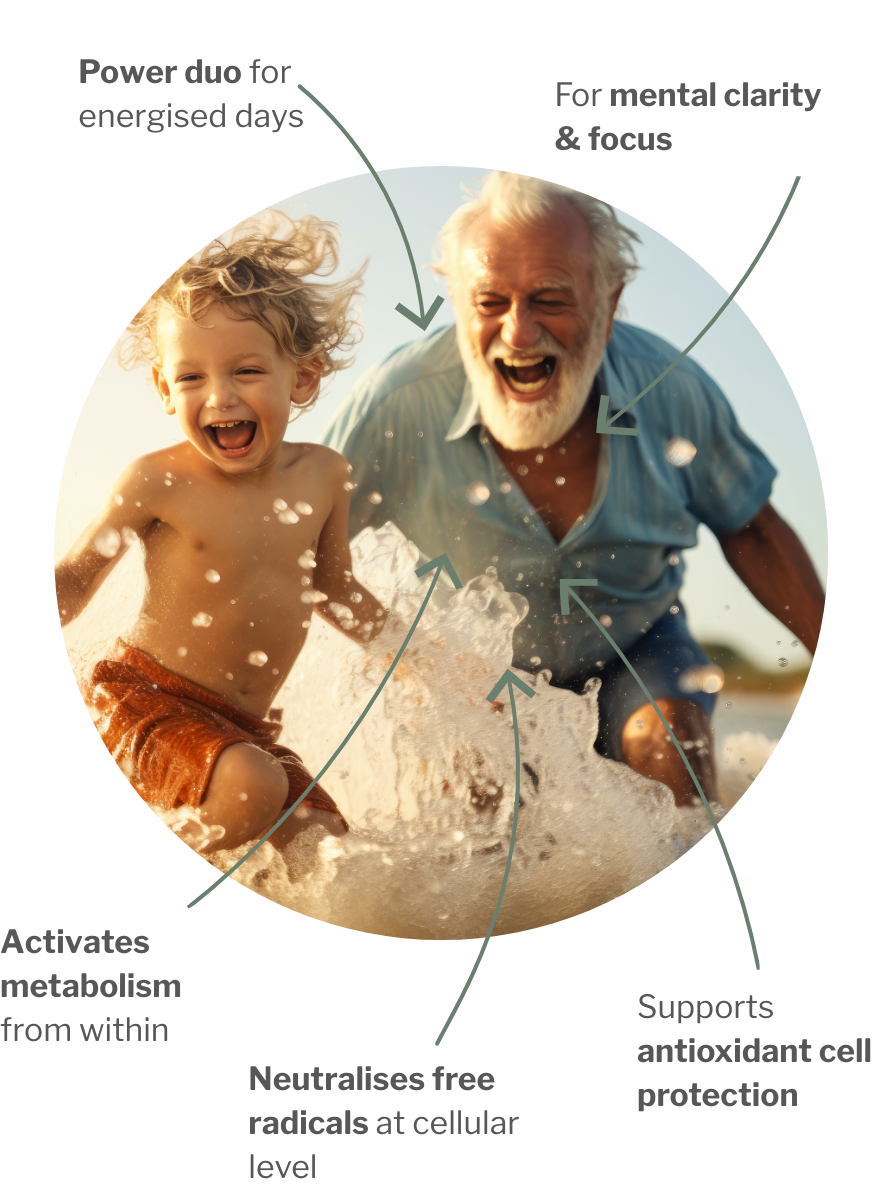 Usage of Cell Energy Bundle – Power for the Day: Cell Protection & Metabolism Activation