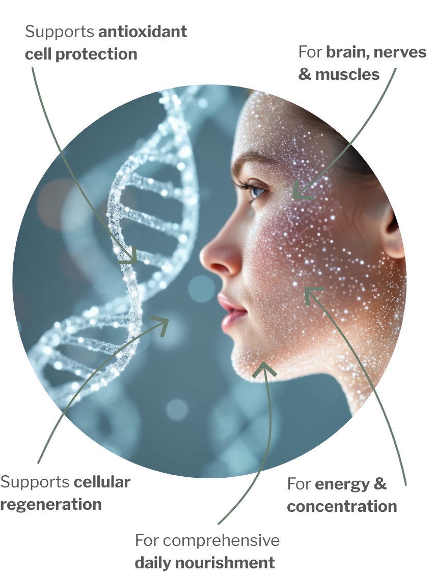 Usage of Cell Power Essentials Bundle – Basics for Cell Health with Protection & Regeneration