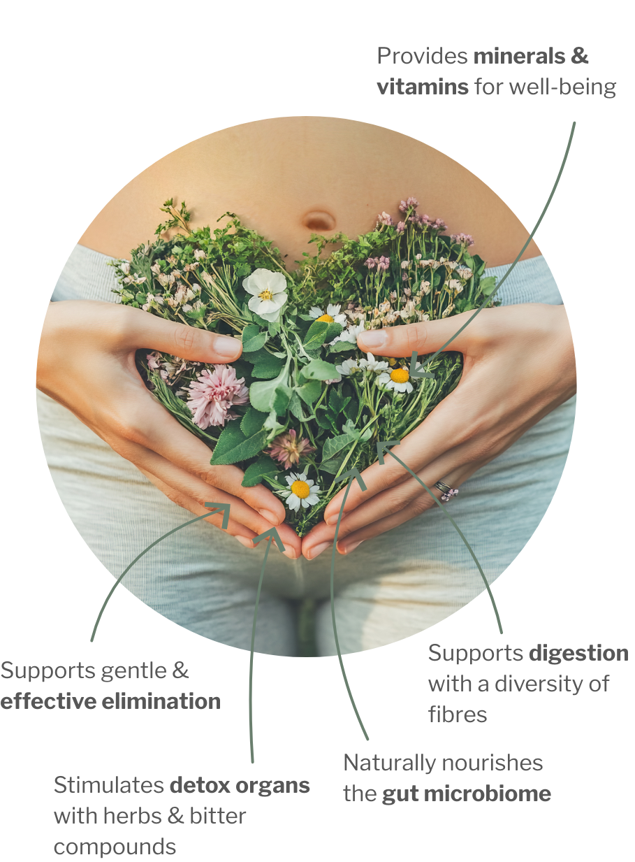 Usage of ColoSTABIL – Prebiotic fibres for the gut health