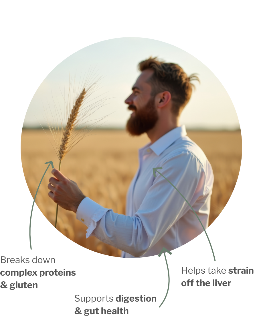 Usage of Enzyme & Gut Bundle – For digestion, gut flora & liver relief