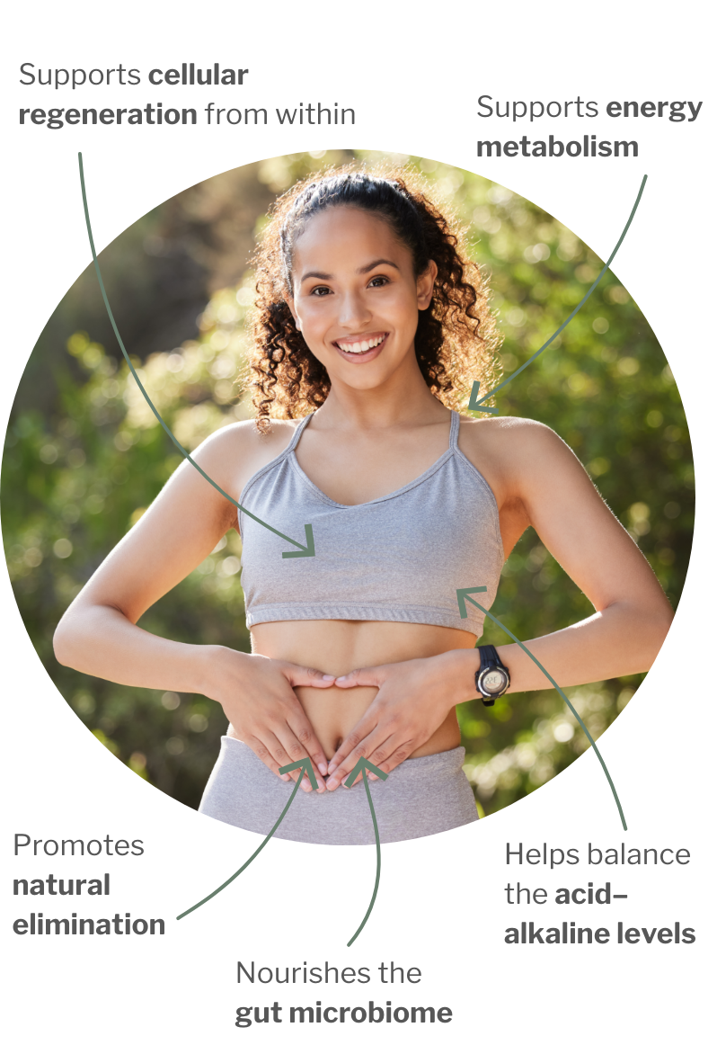 Usage of Fiber & Alkaline Bundle – For the gut, acid-base balance & more lightness