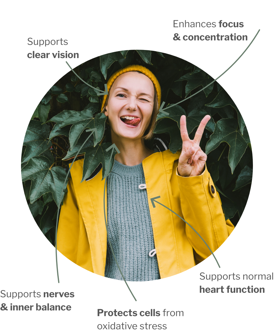 Usage of Focus & Resilience Bundle – For brain, eyes, and nerves: Cell protection & vegan Omega-3