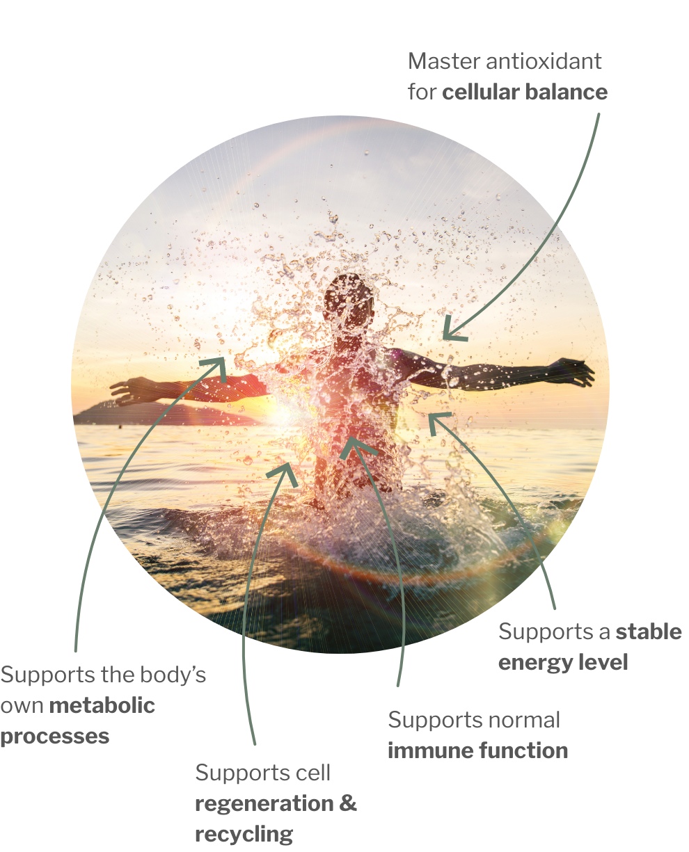 Usage of Glutathione – Master antioxidant for the metabolism