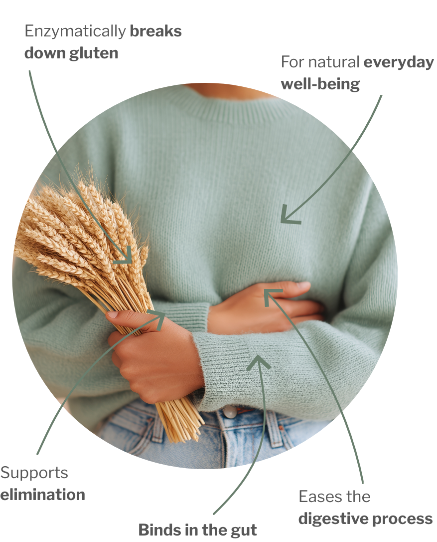 Usage of Gluten-Free Bundle – Two-step support for the digestion of gluten & co.