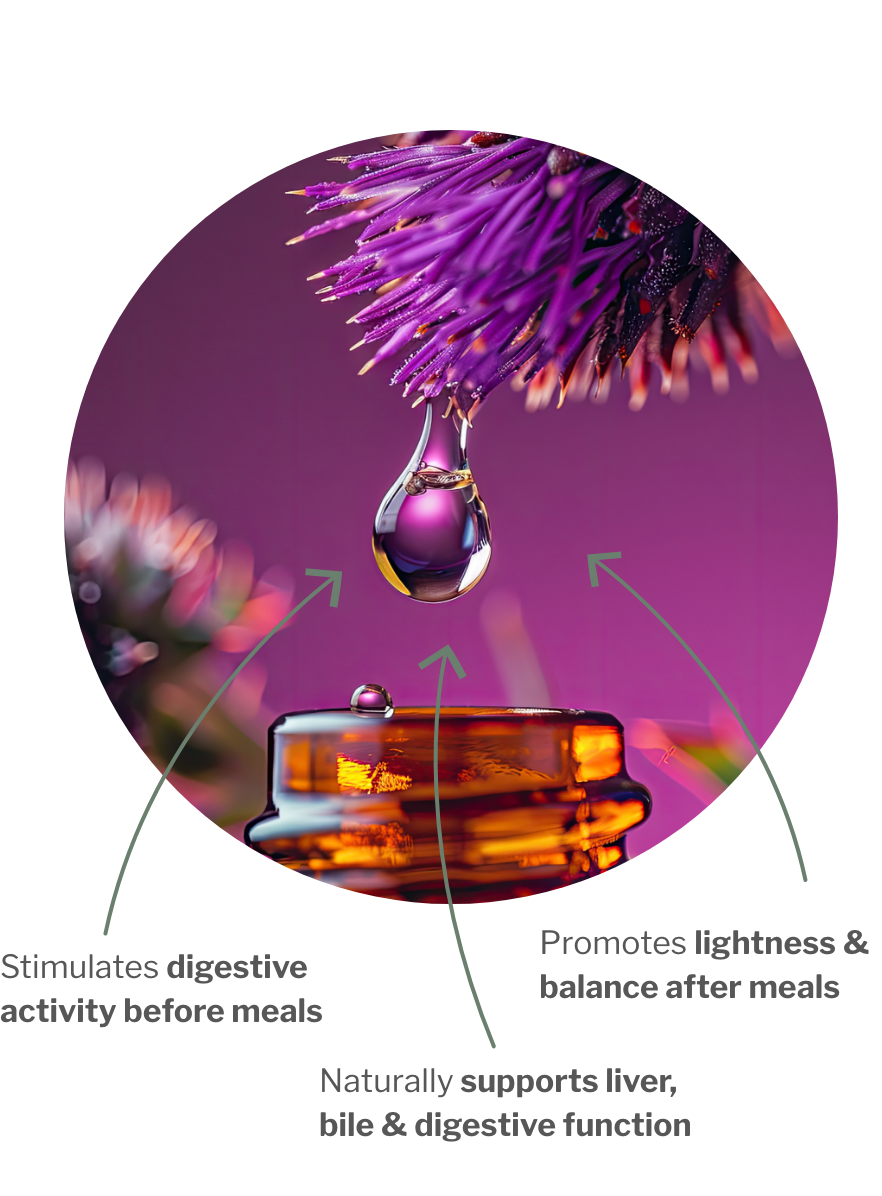 Usage of HepaCHI – Master antioxidant for the metabolism