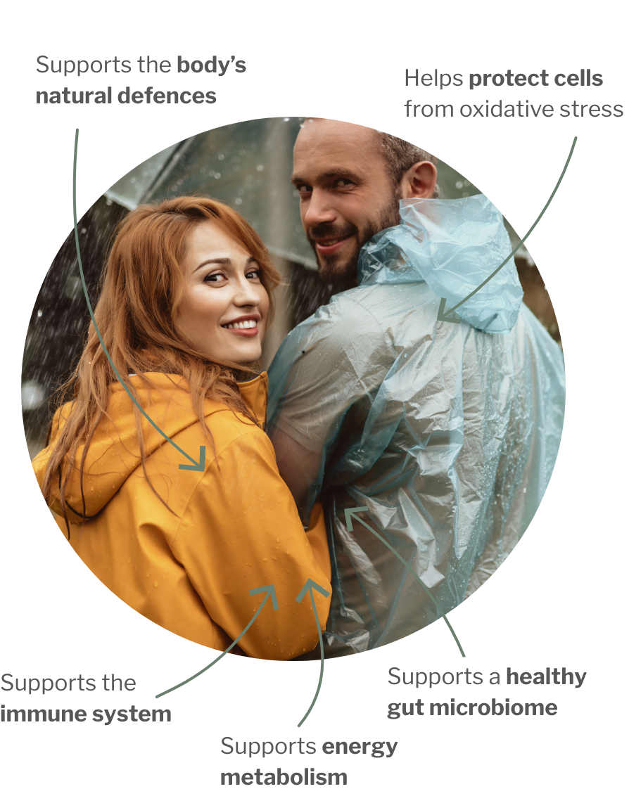 Usage of Immunactive Bundle – For strong defenses from gut to cell