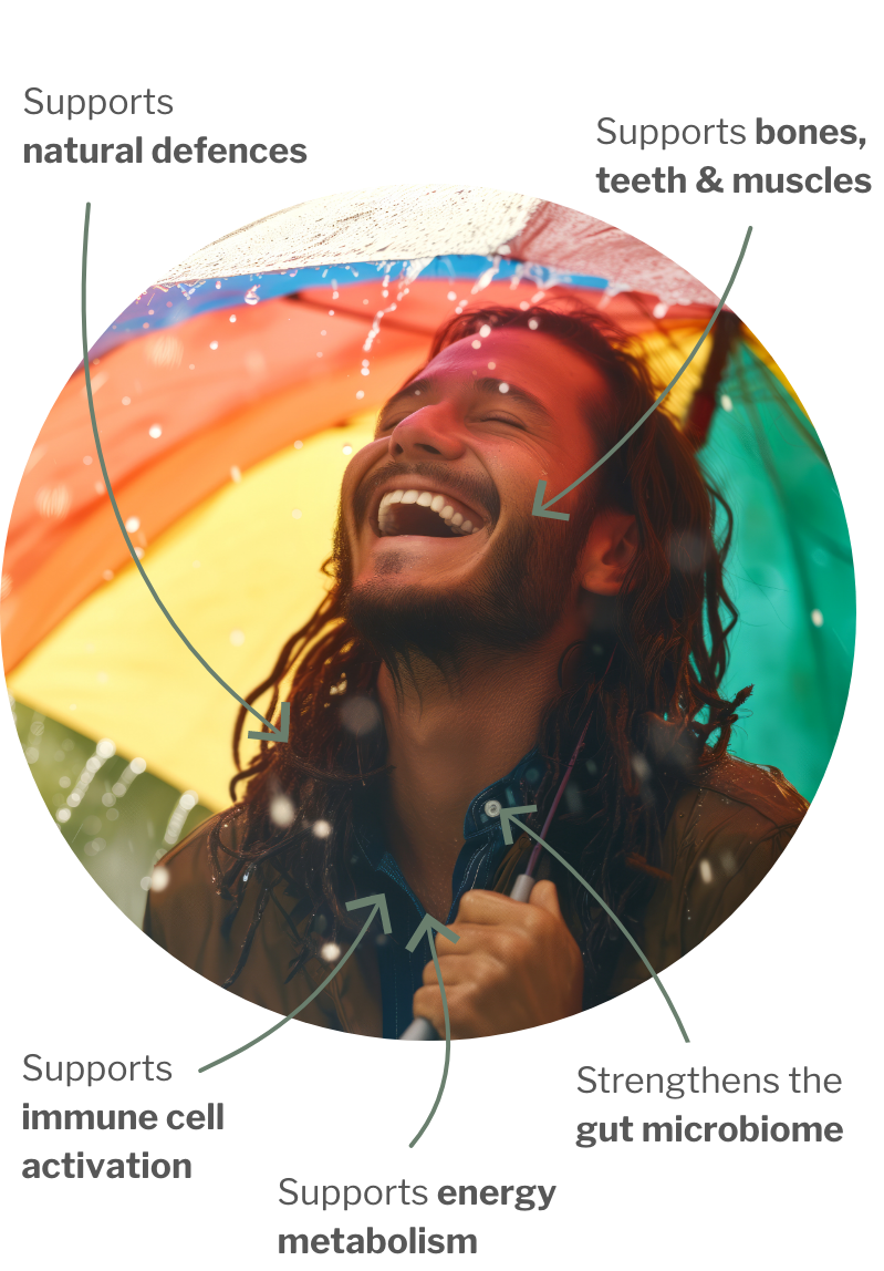 Usage of Immunbalance Bundle – For strong defenses from gut to cell