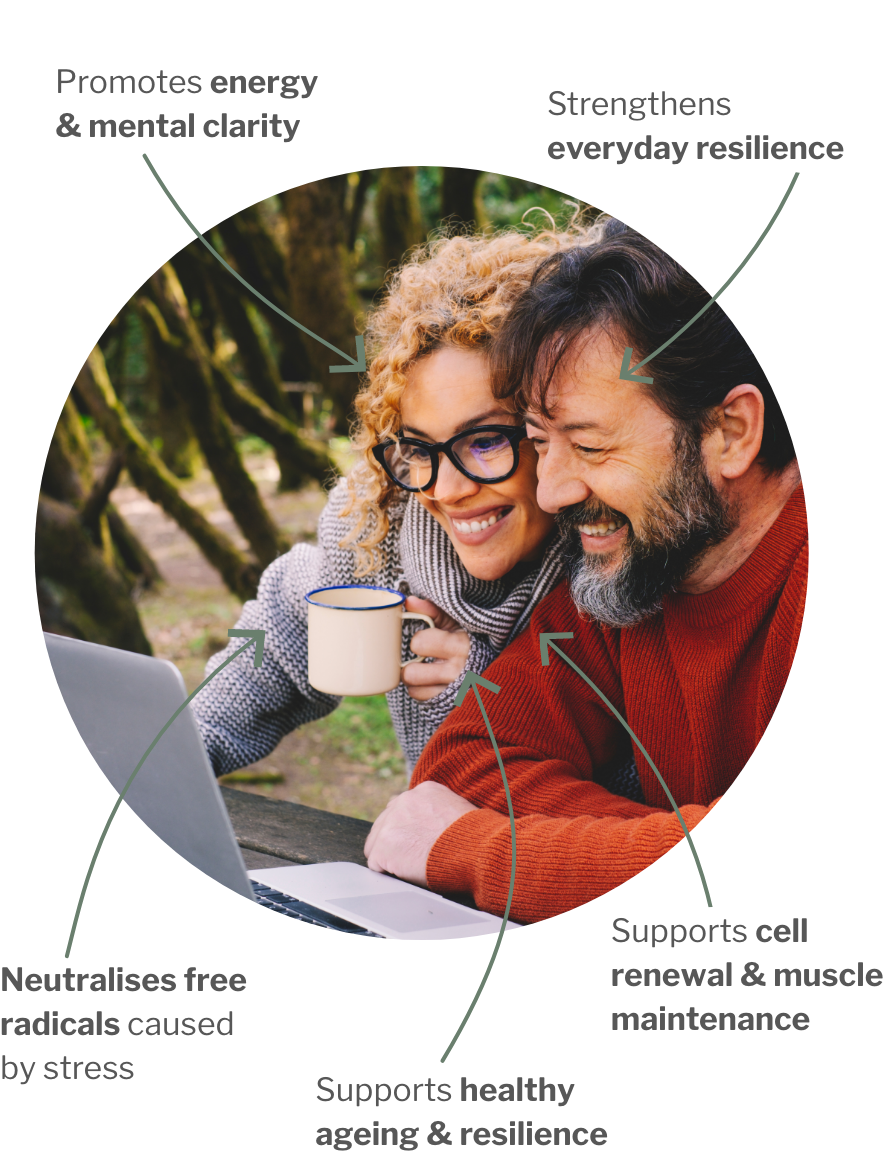 Usage of Longevity day – For healthy aging: Cell protection & cell regeneration for active days