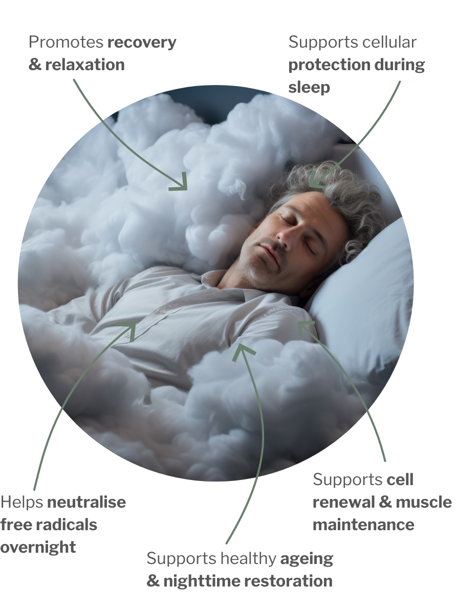 Usage of Longevity night – For healthy aging: Cell protection & cell regeneration for restful nights