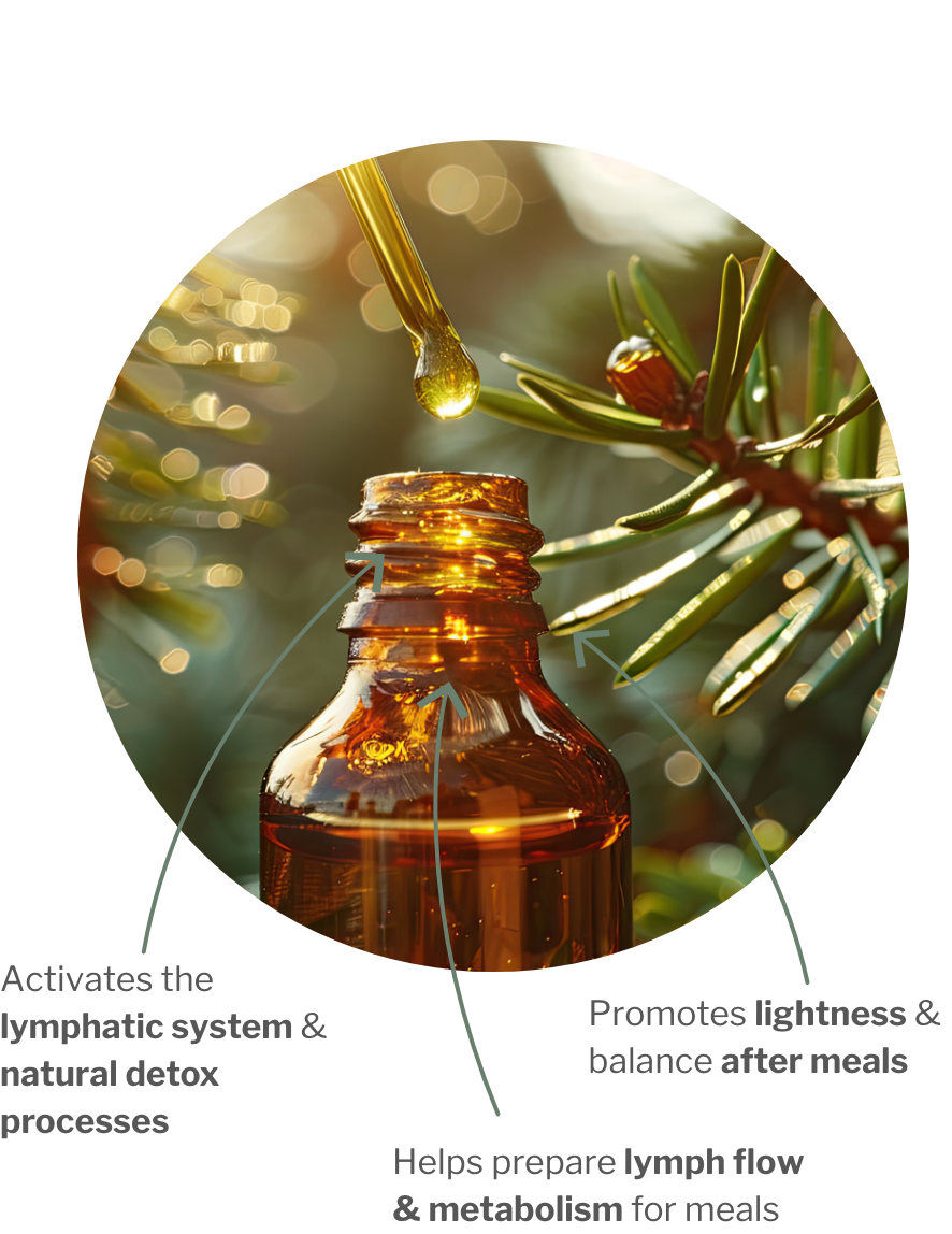 Usage of LymphoCHI – Herbal bitter for the lymph system