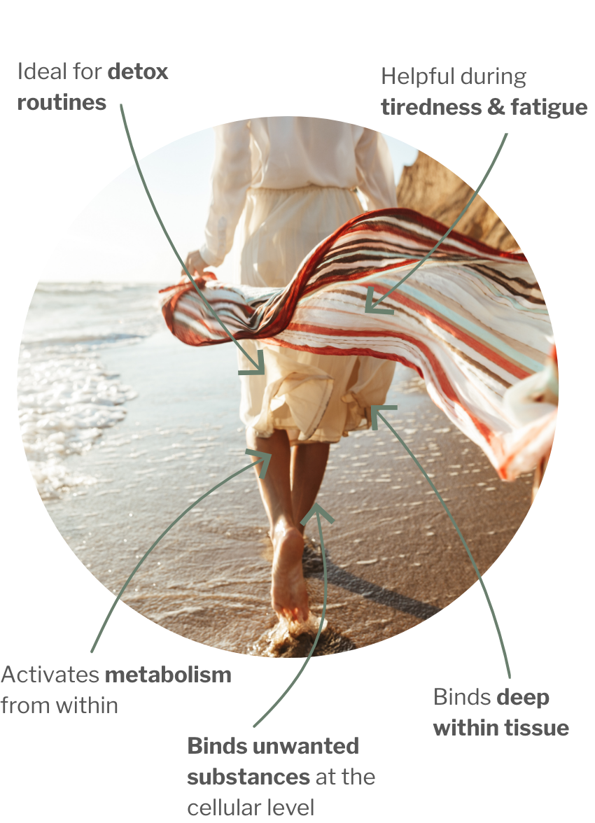 Usage of Metabolism & Cellular Detox – Sustainable from within: Metabolism activation + cell detox